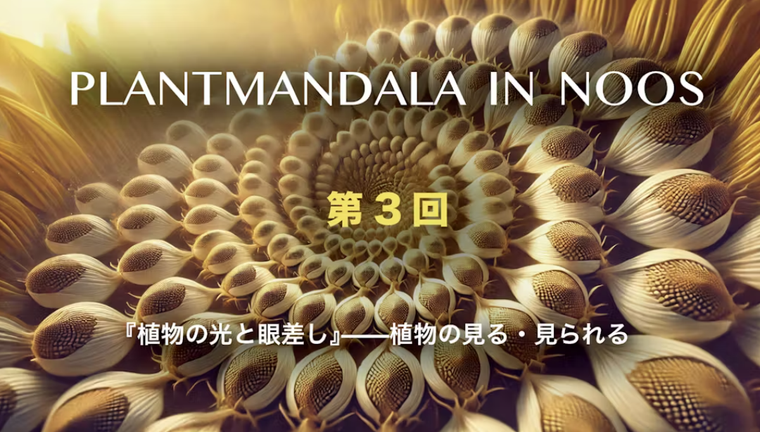 「植物の光と眼差し」—植物の見る・見られる