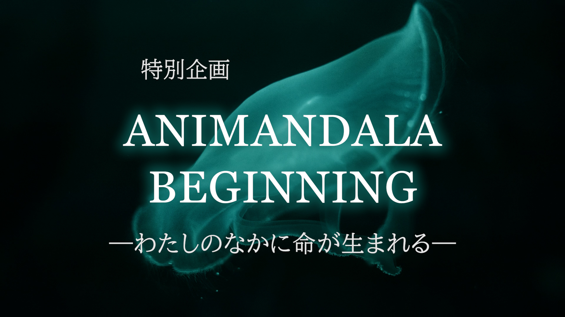【アニマンダラ=ビギニング】—わたしのなかに命が生まれる―
